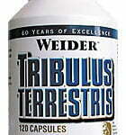 TRIBULUS TERRESTRIS