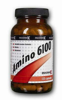 MusclegenX AMINO 6100