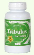 Kompava Tribulus Terrestris - Kompava