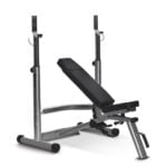 Horizon Fitness Adonis rack