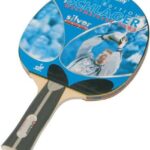 Werner Schlager silver ping pong ütő