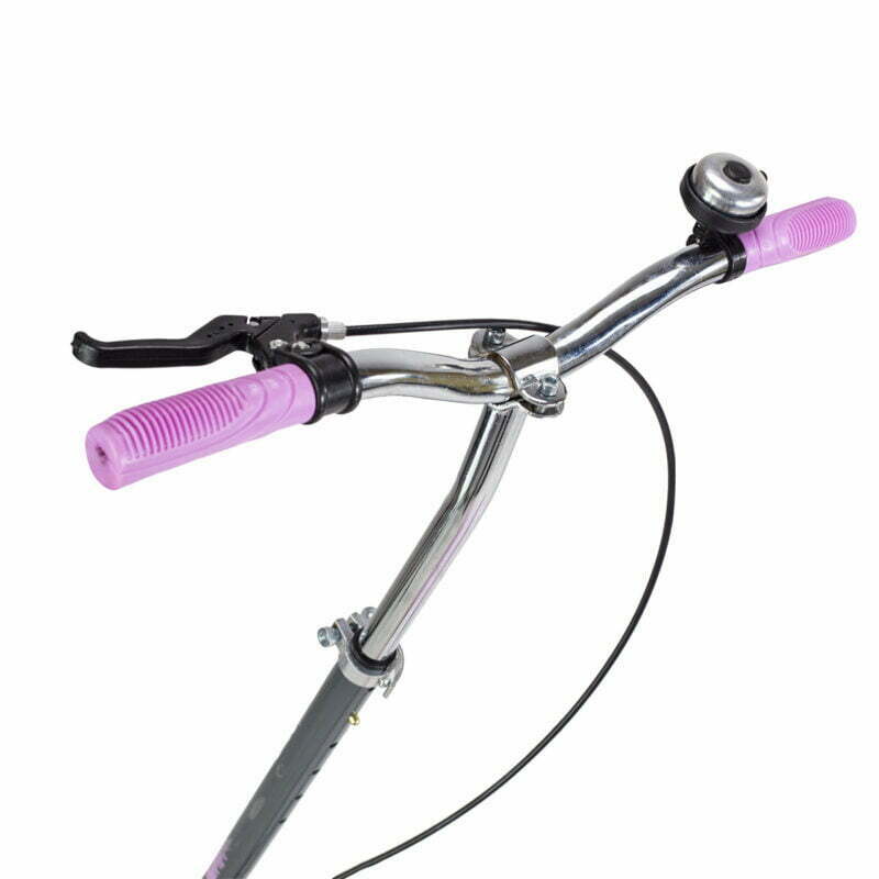 Niels Extreme FL125 Purple Fliker roller