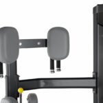 BH Fitness Inertia - ROTARY TORSO - Törzsfordító gép
