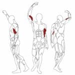 BH Fitness SCOTT BENCH - Scott bicepszpad