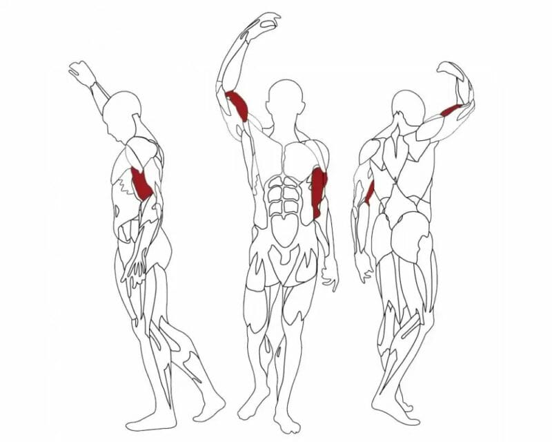 BH Fitness SCOTT BENCH - Scott bicepszpad