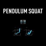 FFiTTech Pendulum Squat - Ingás guggoló gép